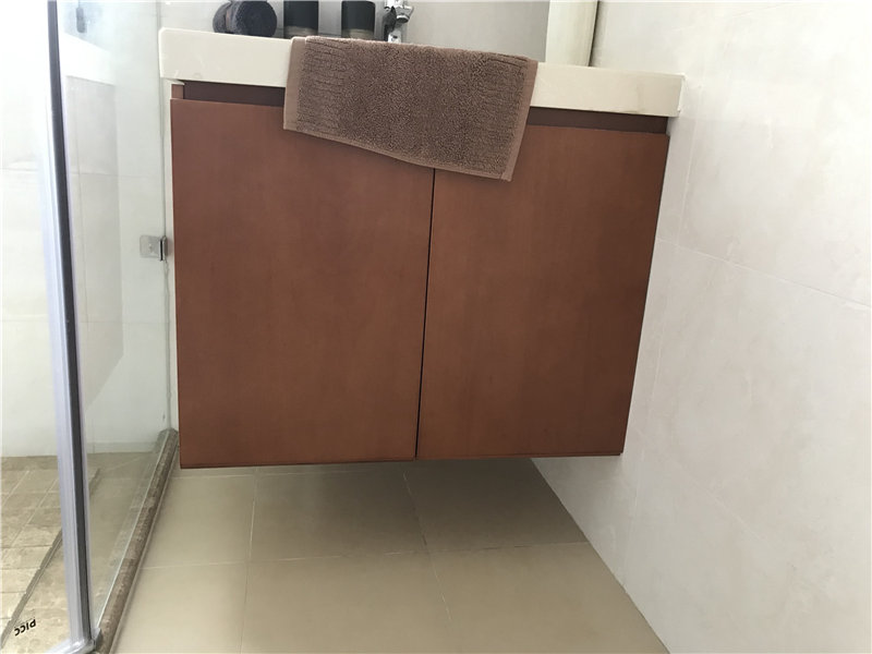 油漆洗手柜
